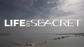 Life by seacret